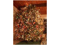 December 2002 Photos
