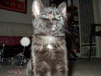Pictures of Ella