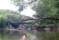May 2016 Photos