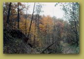 1072a013.jpg