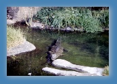 0698o032.jpg