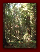 San Francisco 055.jpg