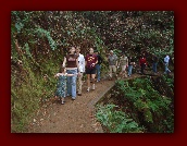 San Francisco 069.jpg