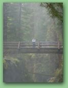 Olympic National Park_May_08 382.jpg