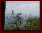 Virgin_Islands_day_1_2 018.jpg