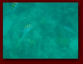 Virgin_Islands_day_1_2 124.jpg
