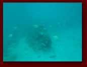 Virgin_Islands_day_1_2 137.jpg