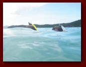 Virgin_Islands_day_1_2 151.jpg
