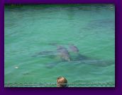 Virgin_Islands_day_3_4 002.jpg