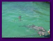 Virgin_Islands_day_3_4 023.jpg