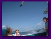 Virgin_Islands_day_3_4 117.jpg