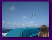 Virgin_Islands_day_3_4 118.jpg