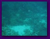 Virgin_Islands_day_3_4 213.jpg