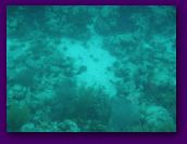 Virgin_Islands_day_3_4 214.jpg