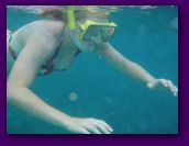 Virgin_Islands_day_3_4 216.jpg