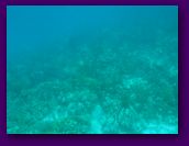 Virgin_Islands_day_3_4 222.jpg