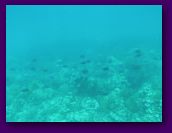 Virgin_Islands_day_3_4 223.jpg