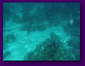 Virgin_Islands_day_3_4 225.jpg