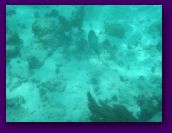 Virgin_Islands_day_3_4 230.jpg