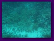 Virgin_Islands_day_3_4 242.jpg
