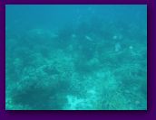 Virgin_Islands_day_3_4 243.jpg