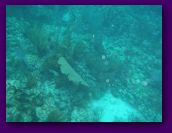 Virgin_Islands_day_3_4 244.jpg