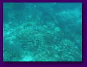 Virgin_Islands_day_3_4 245.jpg