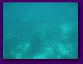 Virgin_Islands_day_3_4 250.jpg