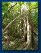 Virgin_Islands_day_5 008.jpg
