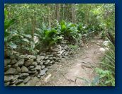 Virgin_Islands_day_5 016.jpg