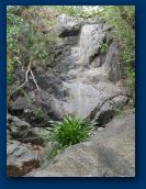 Virgin_Islands_day_5 019.jpg