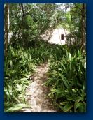 Virgin_Islands_day_5 029.jpg