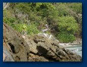 Virgin_Islands_day_5 035.jpg