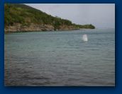 Virgin_Islands_day_5 040.jpg