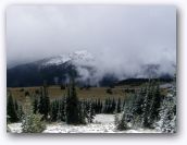 Jess_visiting_WA_Sept_2009 070.jpg