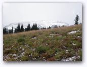 Jess_visiting_WA_Sept_2009 090.jpg
