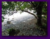lavena coastal walk and waterfall (27).jpg